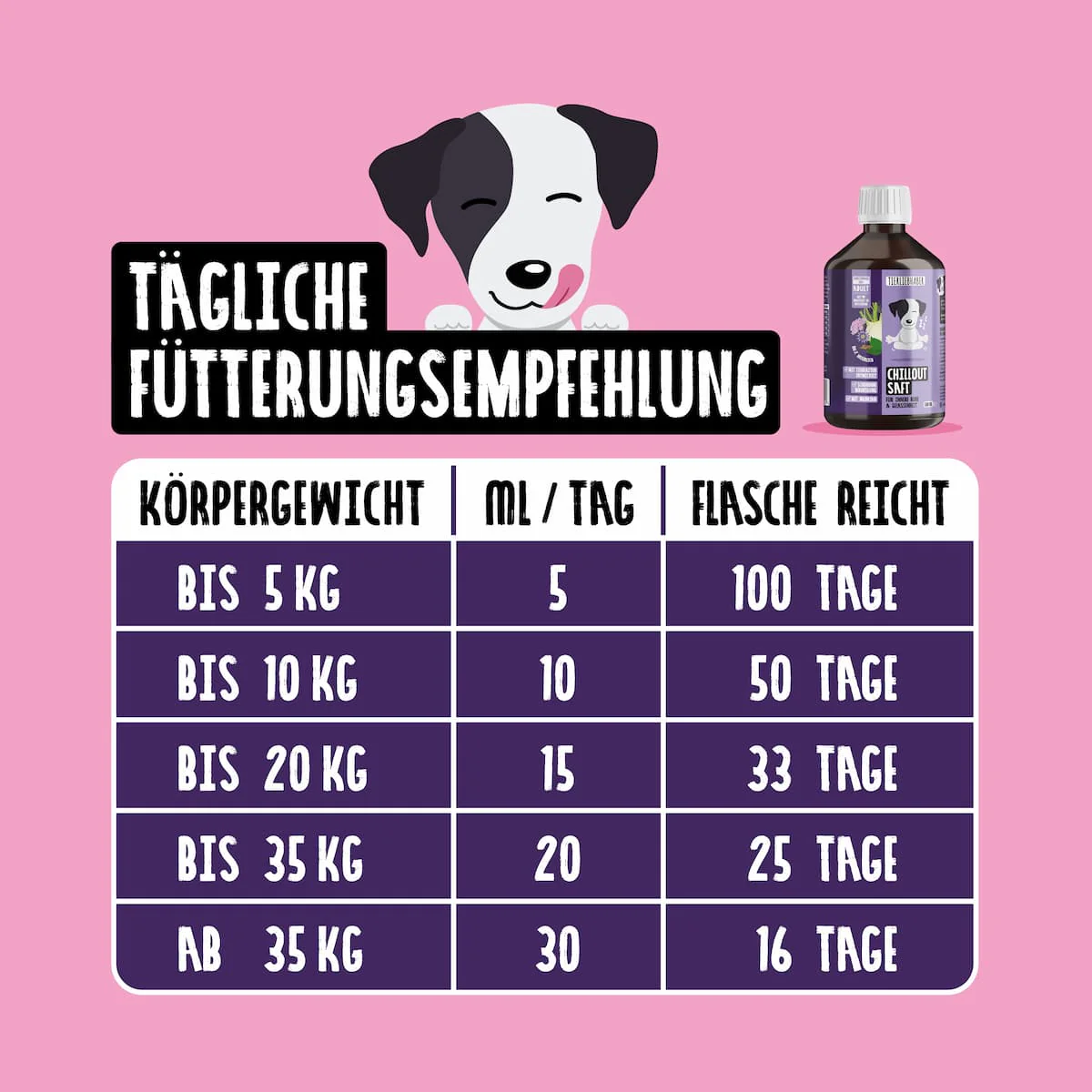 Vorschaubild 6