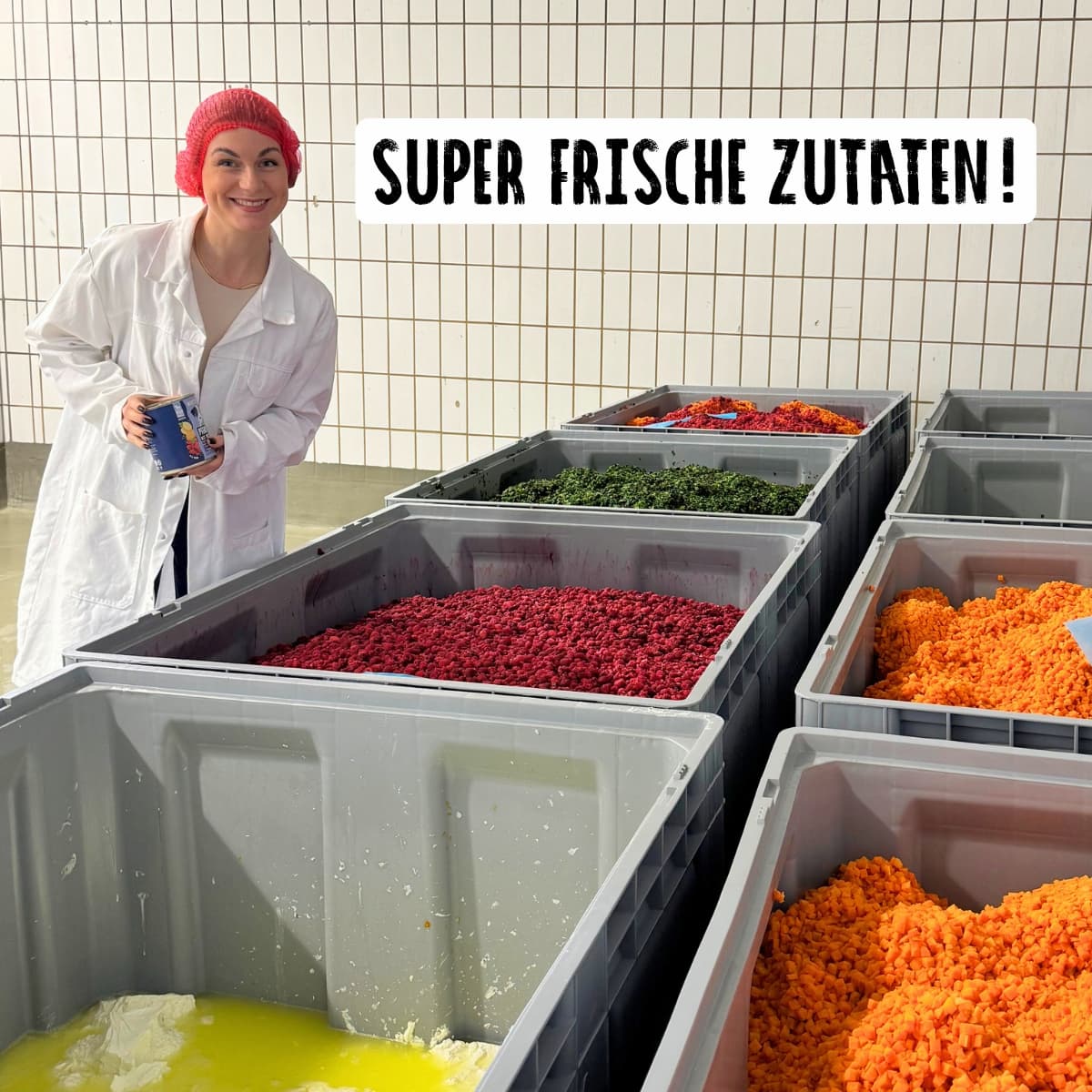 Vorschaubild 4