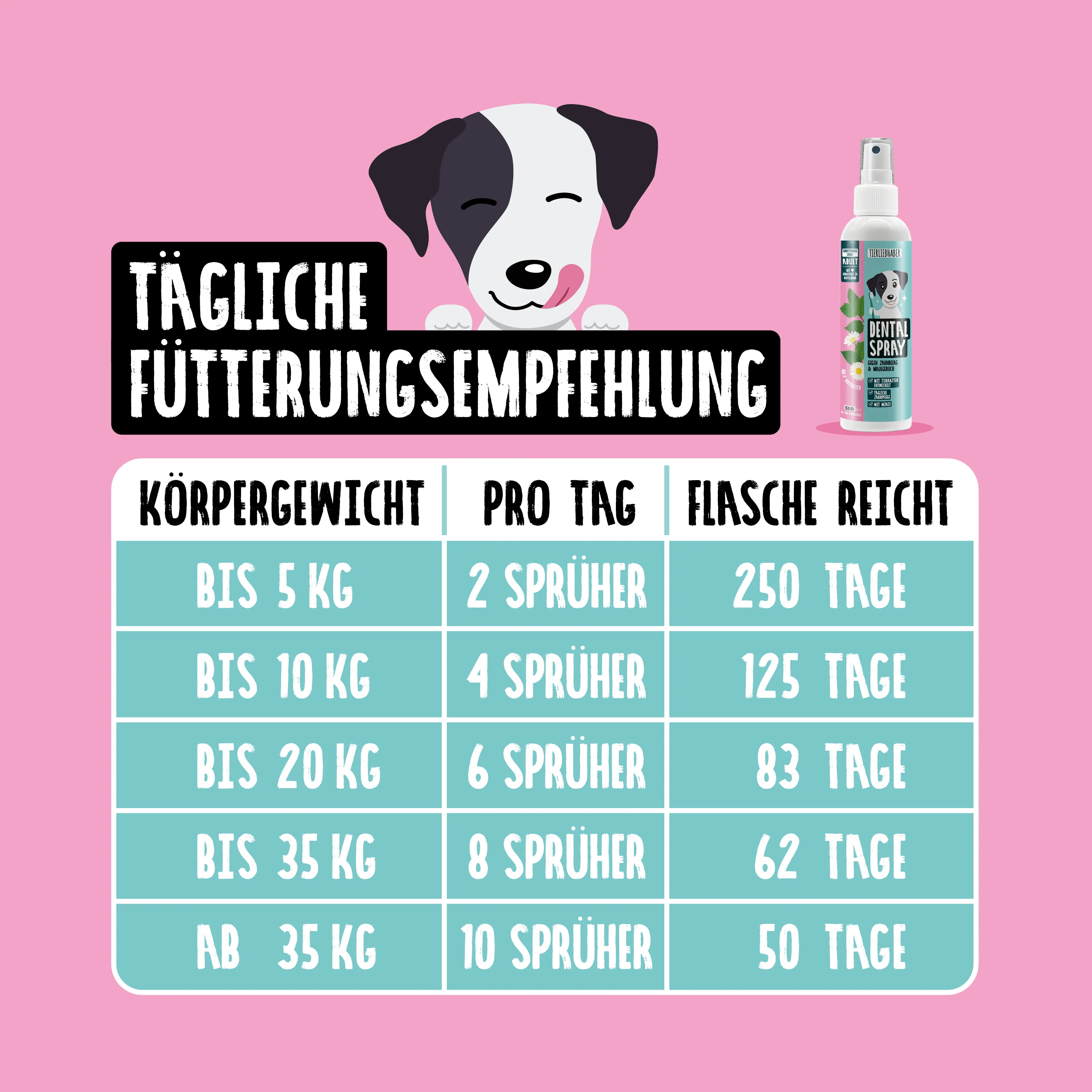 Vorschaubild 9
