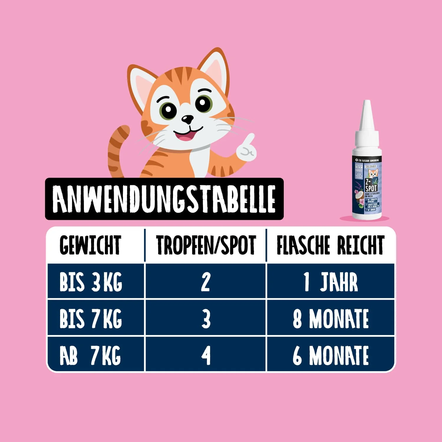 Vorschaubild 6