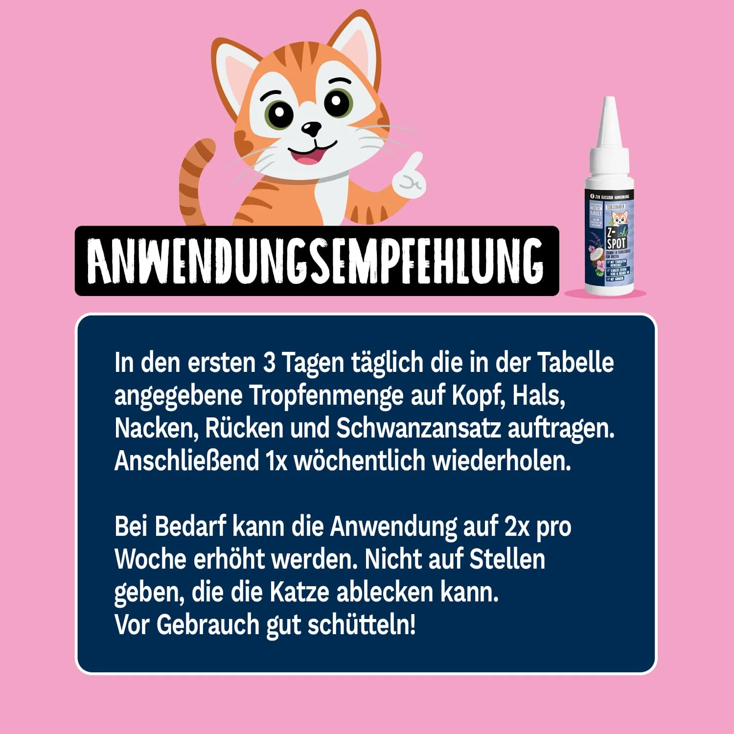 Vorschaubild 7